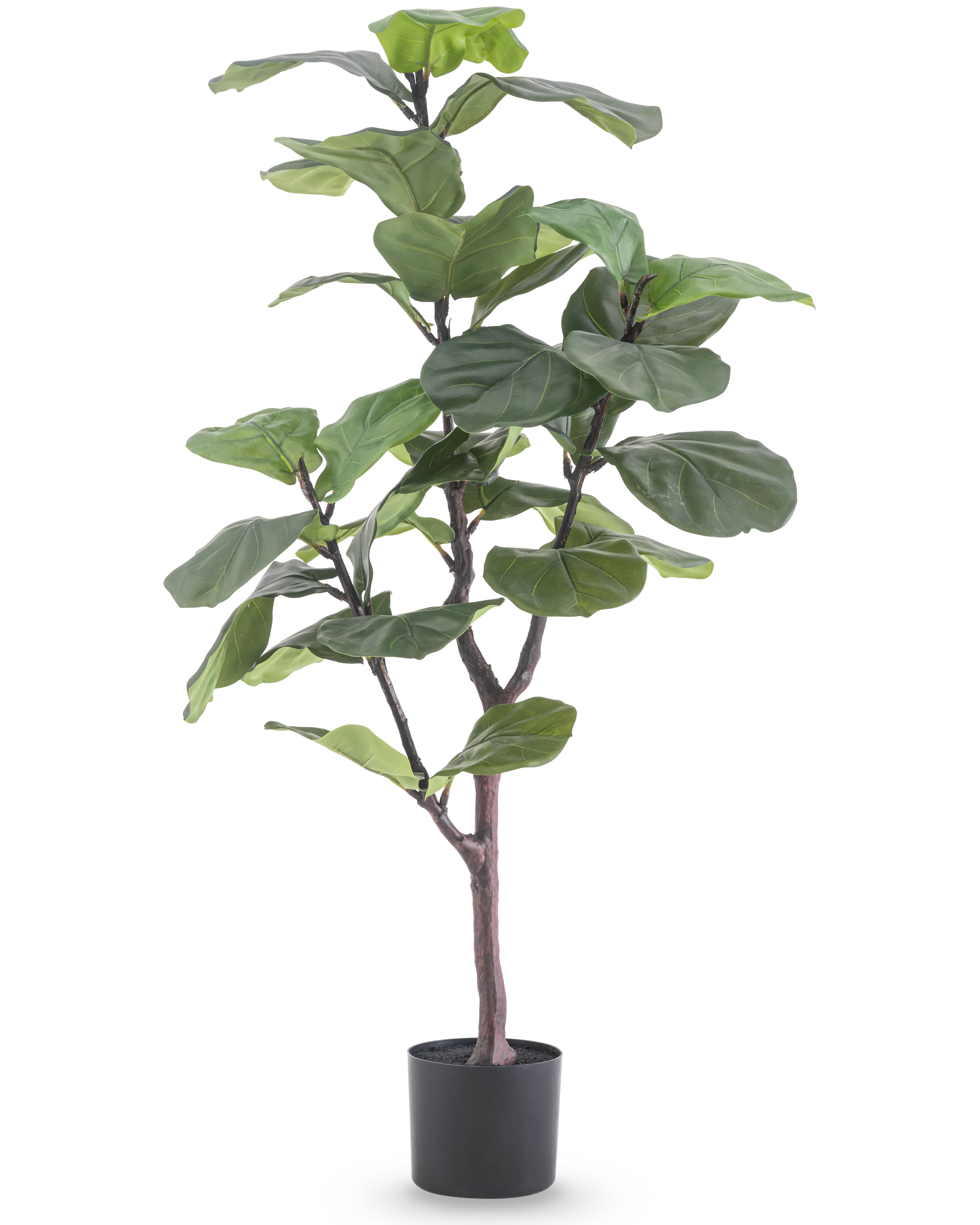HERBSTANGEBOTE